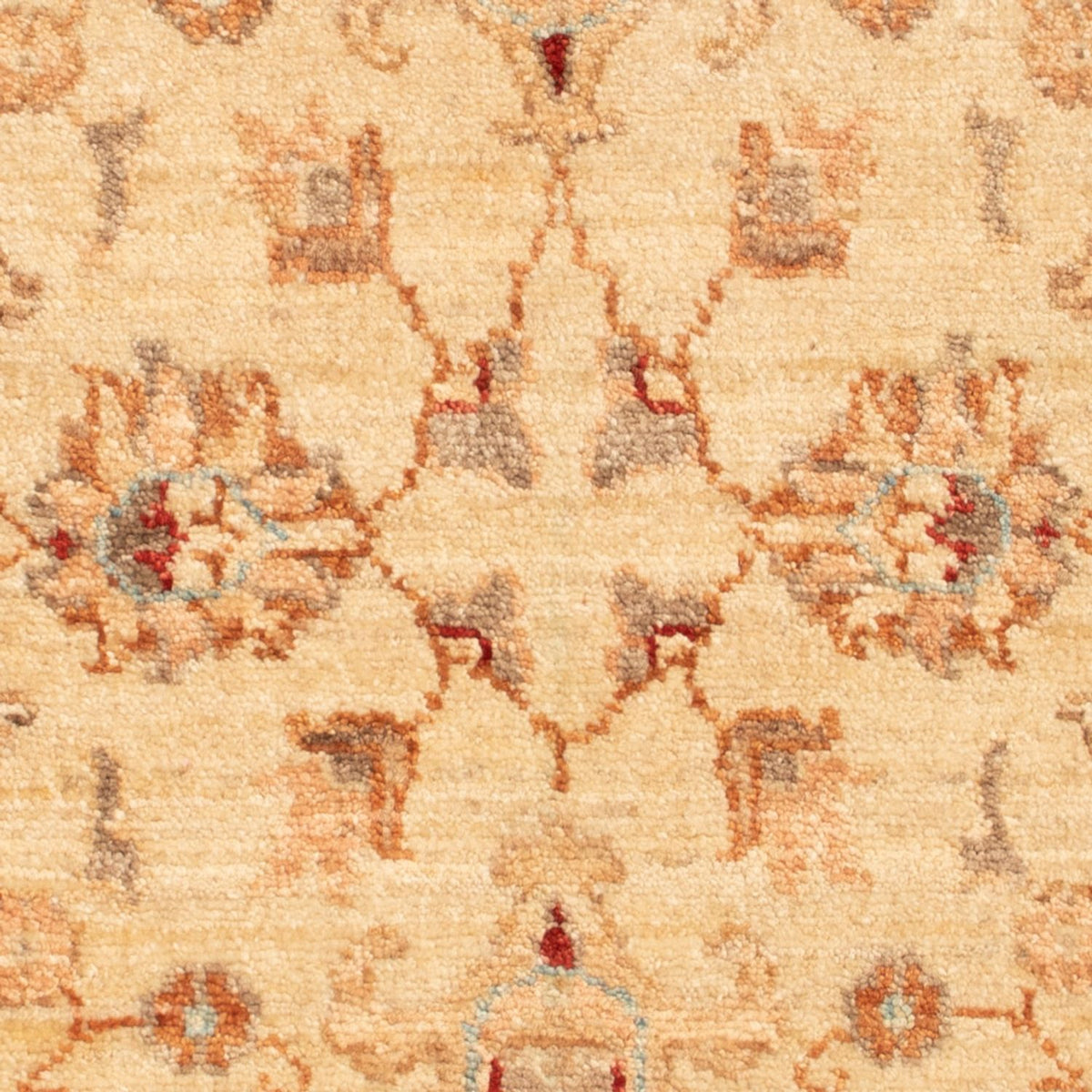 Tapis Ziegler - 86 x 58 cm - beige