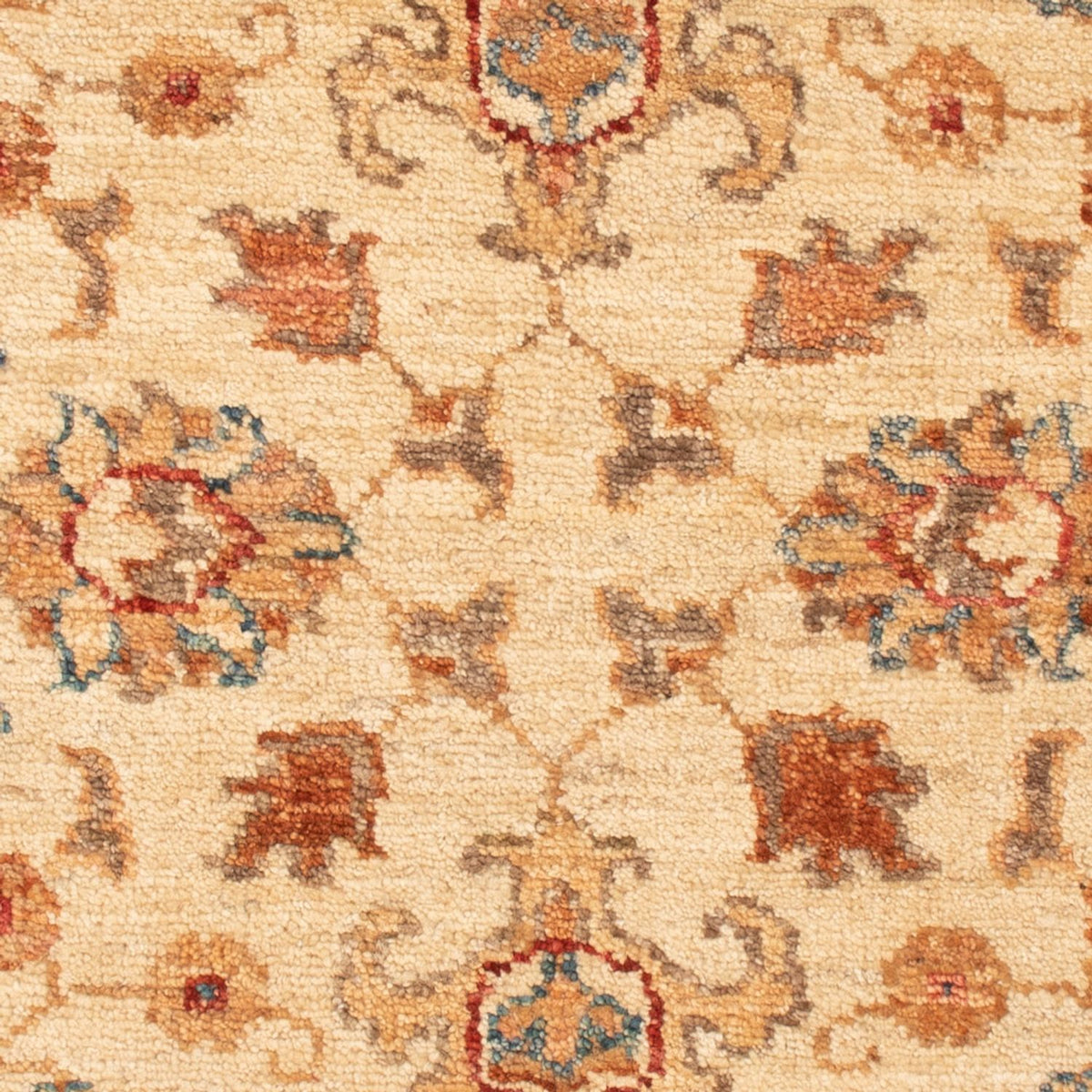 Tapis Ziegler - 88 x 61 cm - beige