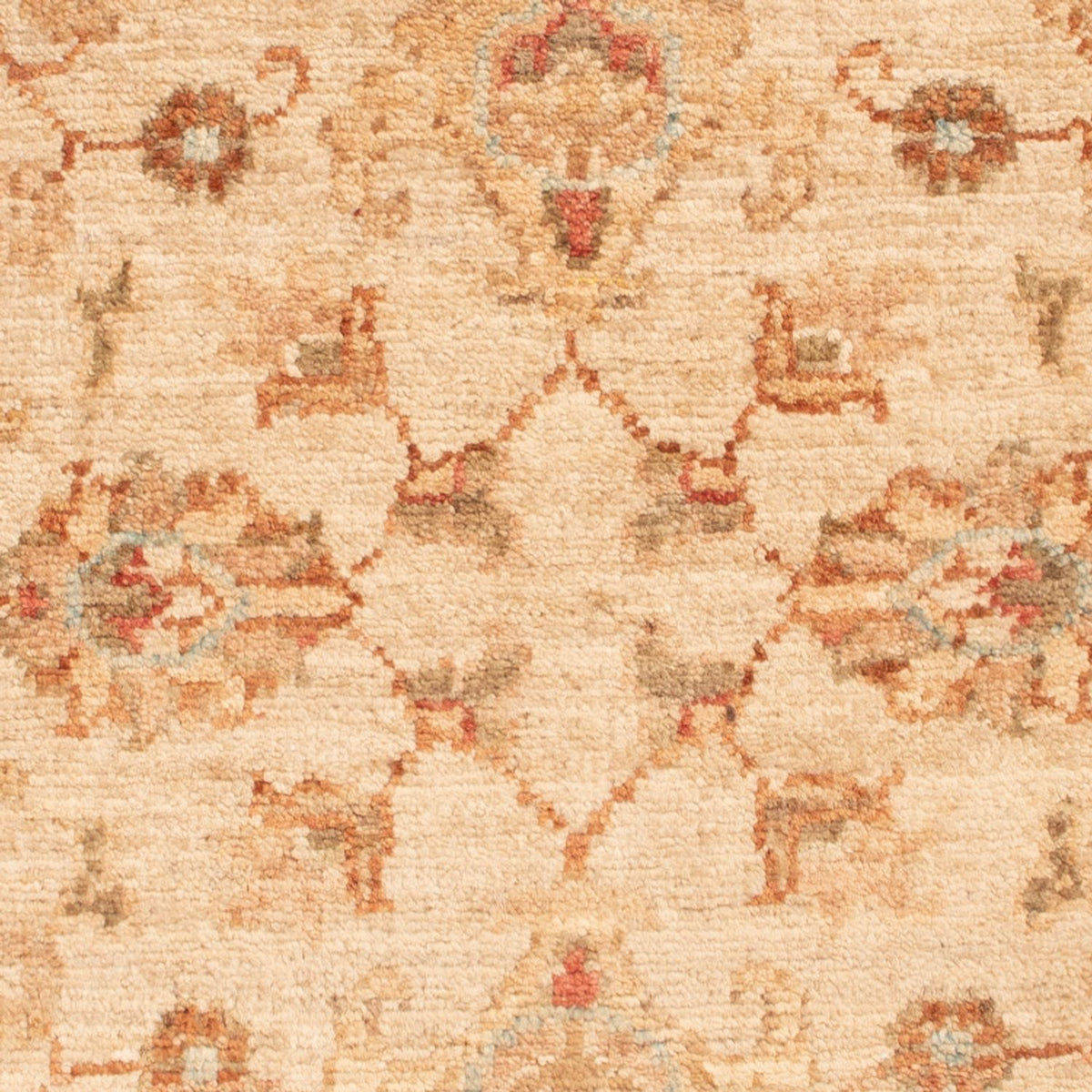 Tapis Ziegler - 80 x 59 cm - beige