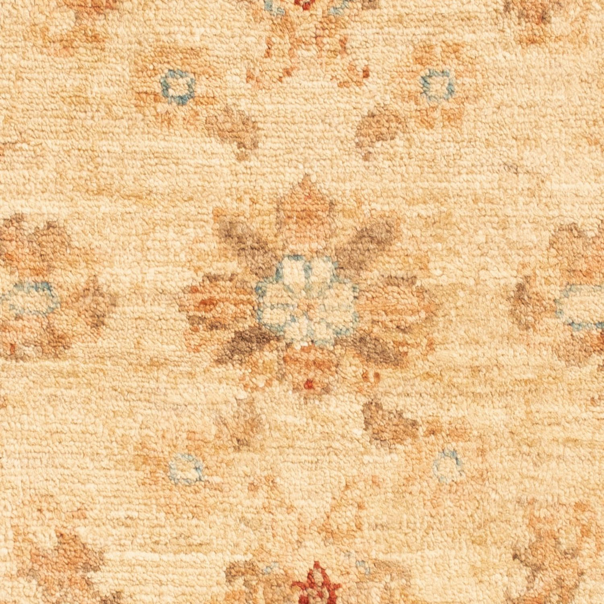 Tapis Ziegler - 92 x 60 cm - beige
