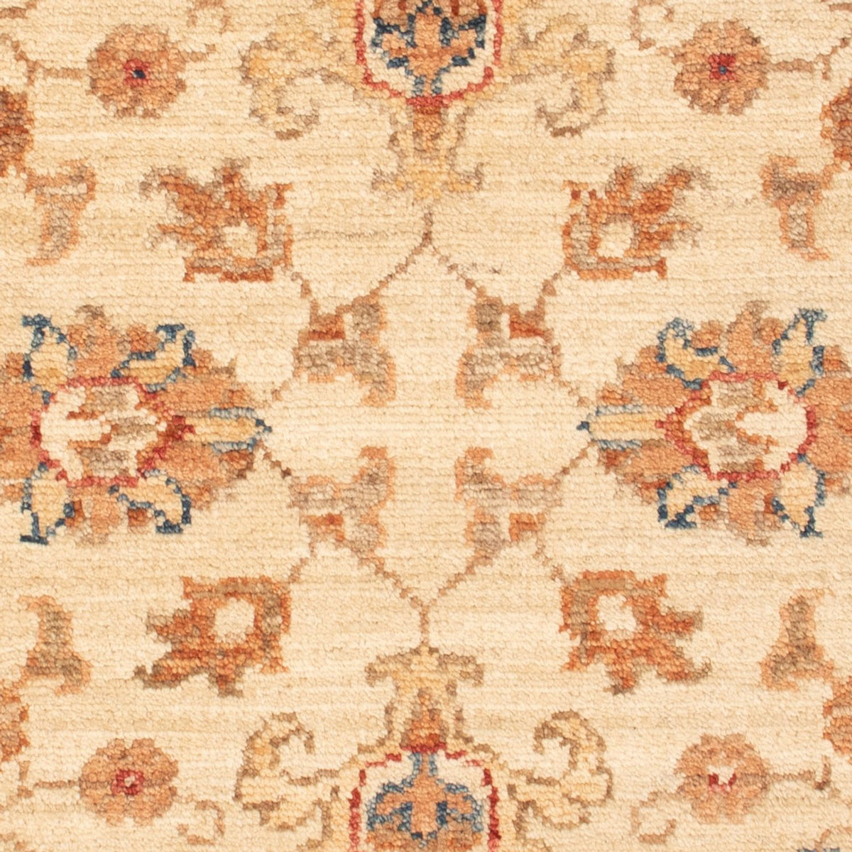 Tapis Ziegler - 87 x 62 cm - beige