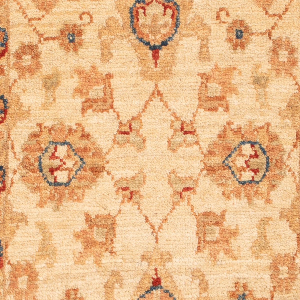 Tapis Ziegler - 92 x 58 cm - beige