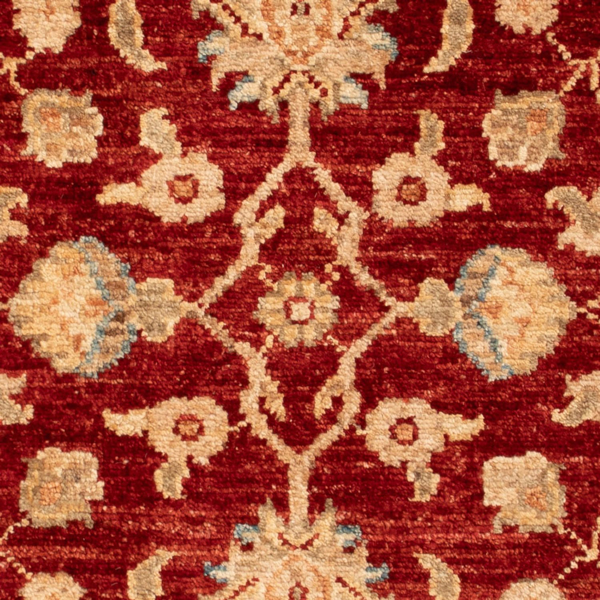 Tapis Ziegler - 86 x 62 cm - rouge
