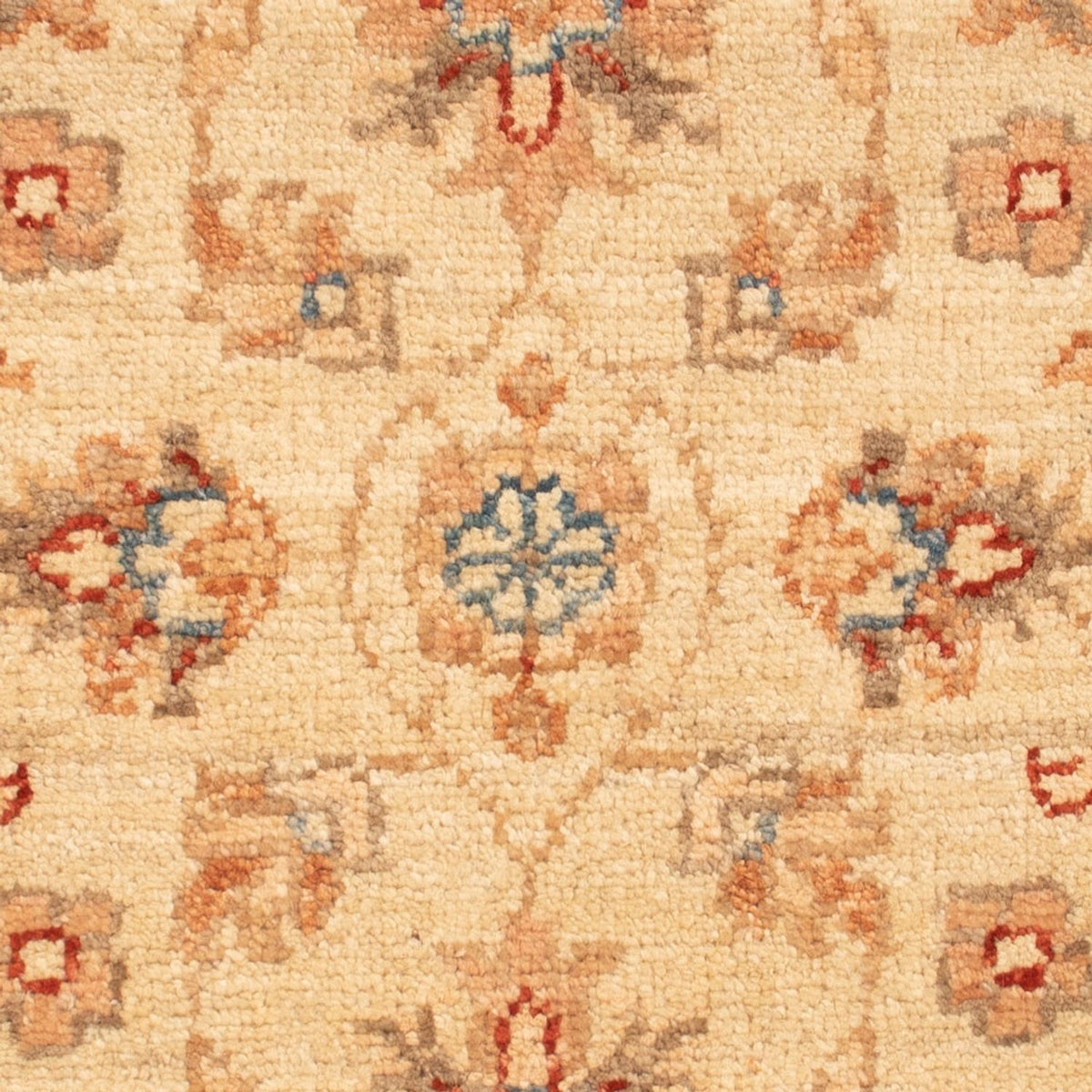 Tapis Ziegler - 70 x 52 cm - beige