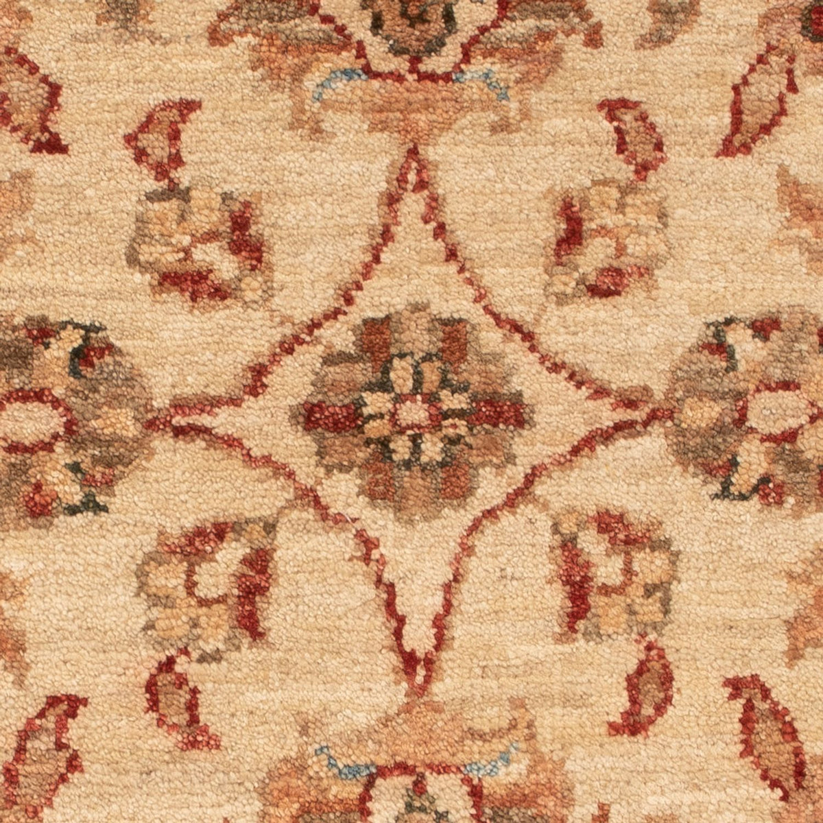 Tapis Ziegler - 72 x 54 cm - beige