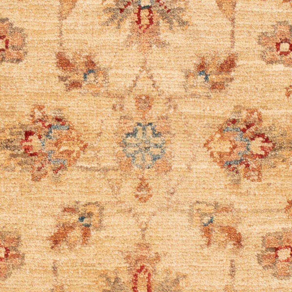 Tapis Ziegler - 65 x 48 cm - beige