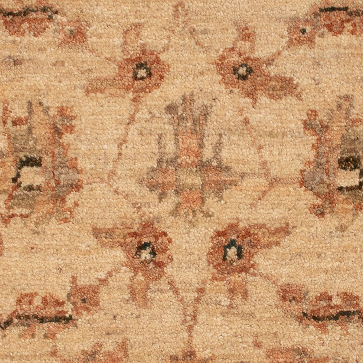 Tapis Ziegler - 73 x 53 cm - beige