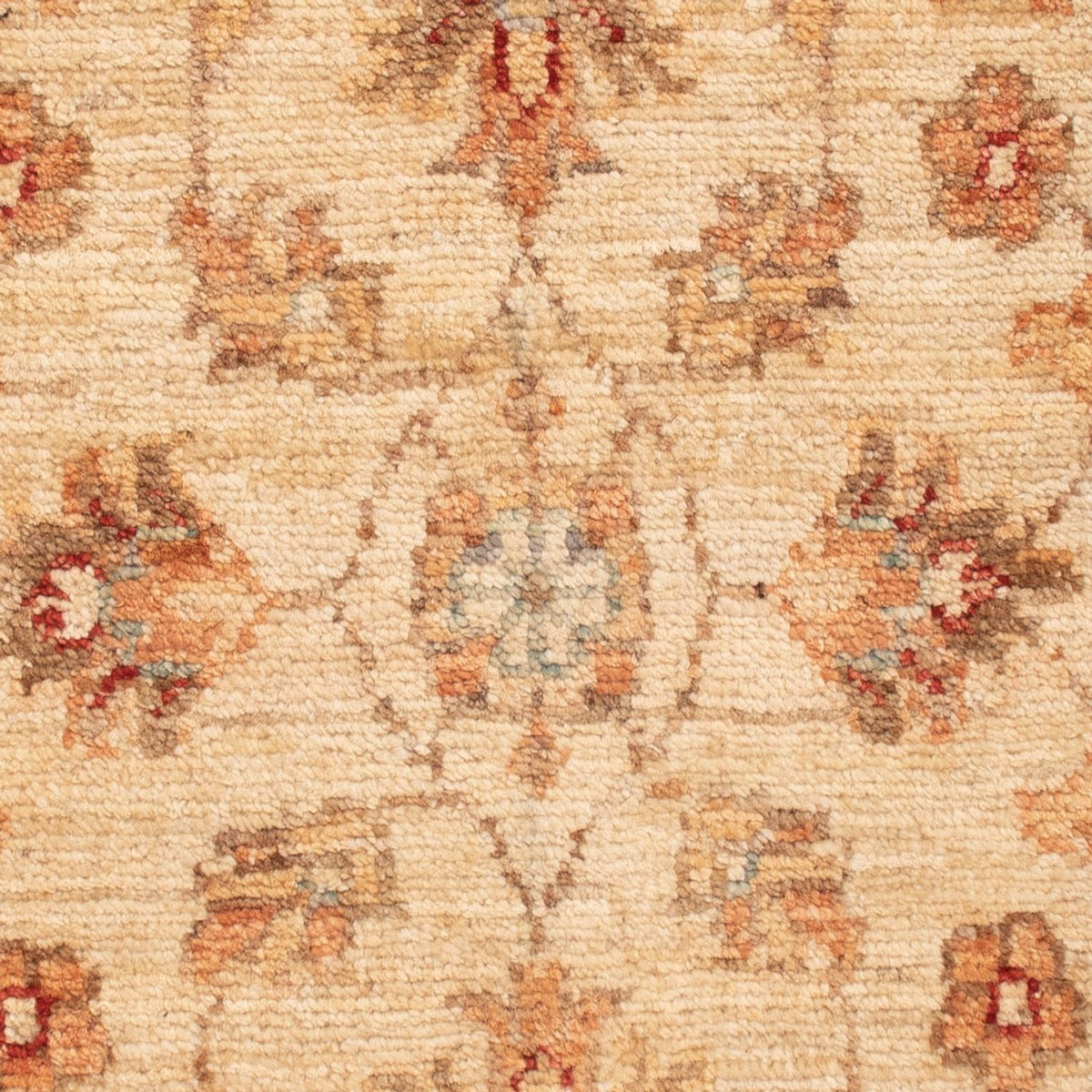 Tapis Ziegler - 71 x 49 cm - beige