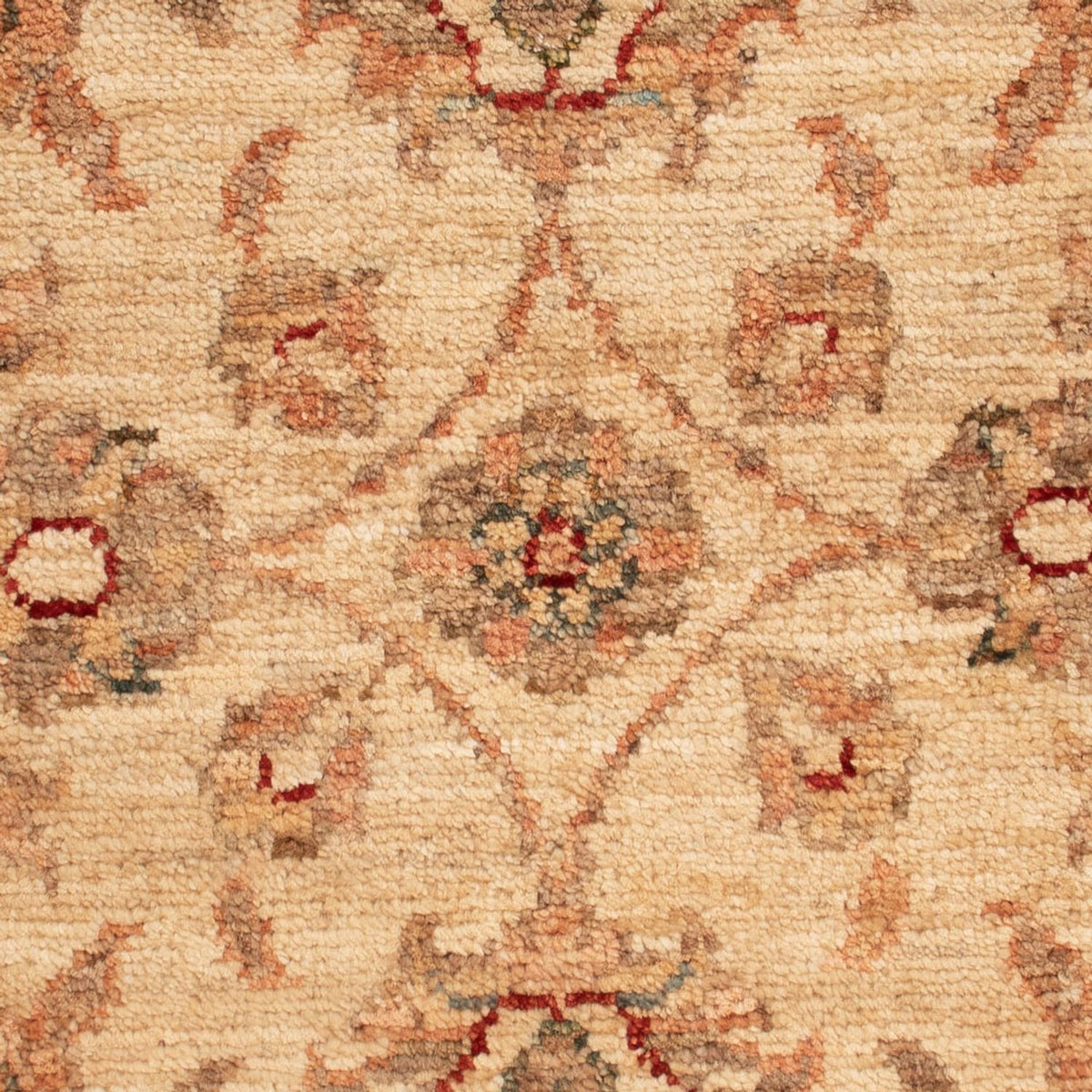 Tapis Ziegler - 68 x 49 cm - beige