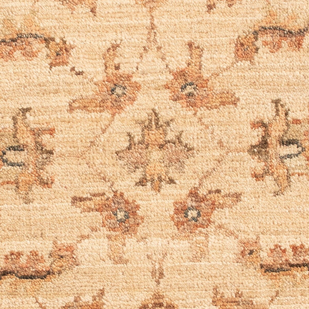 Tapis Ziegler - 64 x 49 cm - beige