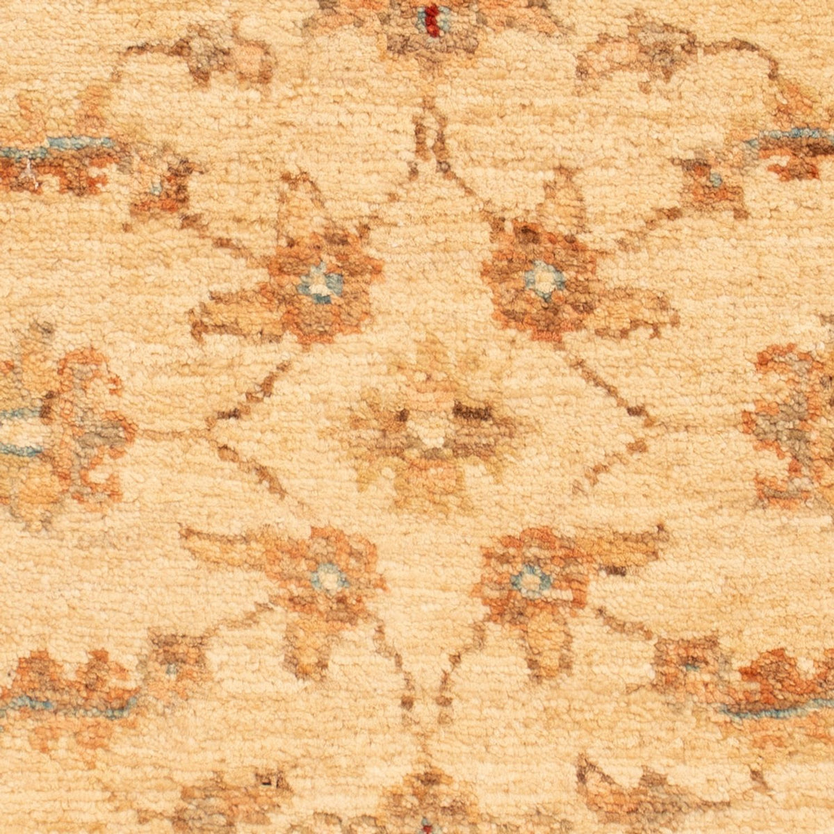 Tapis Ziegler - 65 x 54 cm - beige