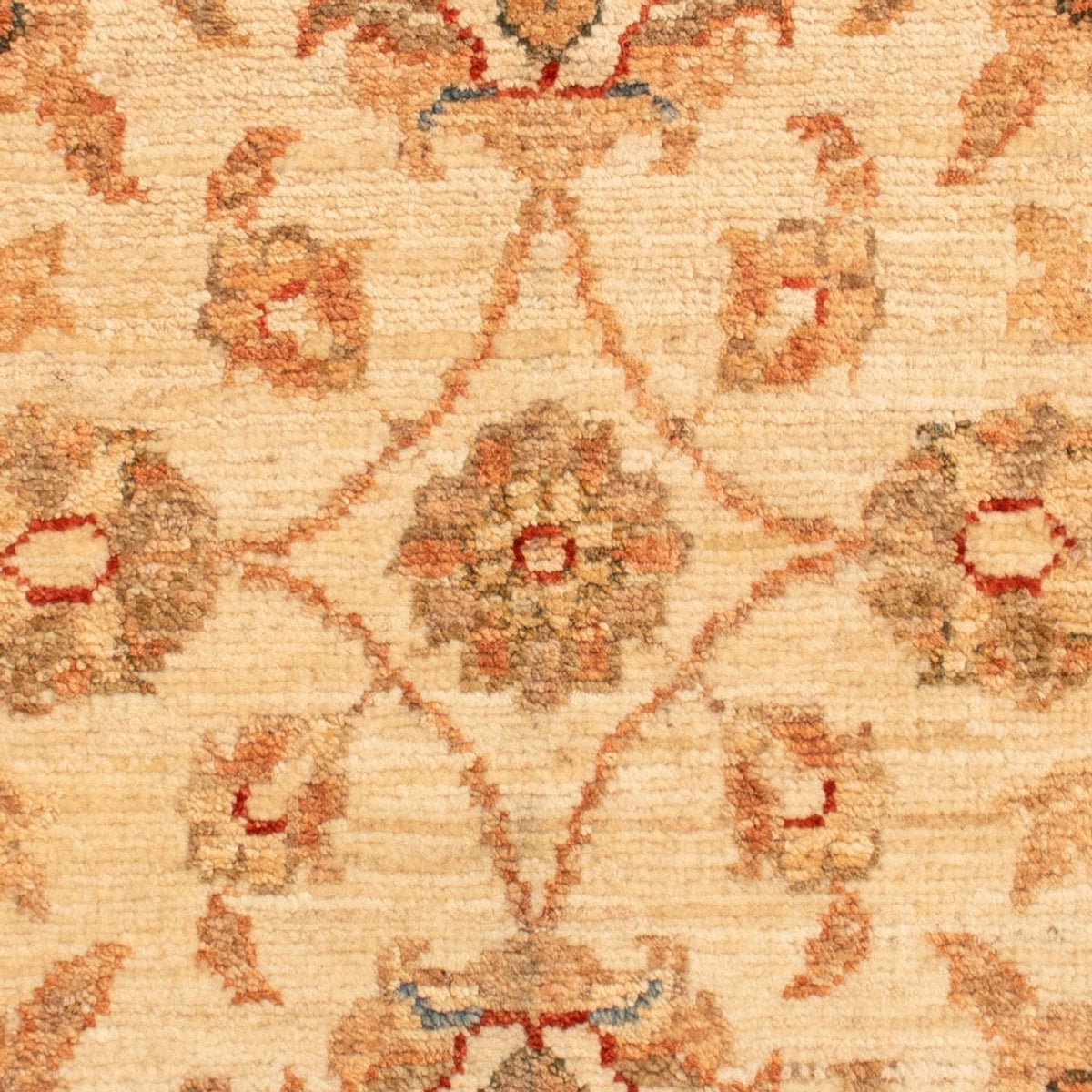 Tapis Ziegler - 73 x 49 cm - beige