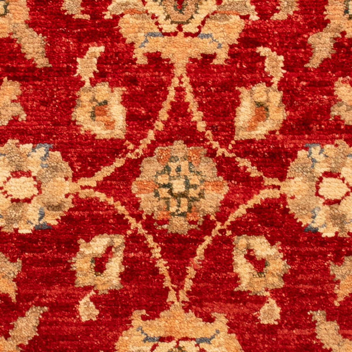 Tapis Ziegler - 71 x 49 cm - rouge