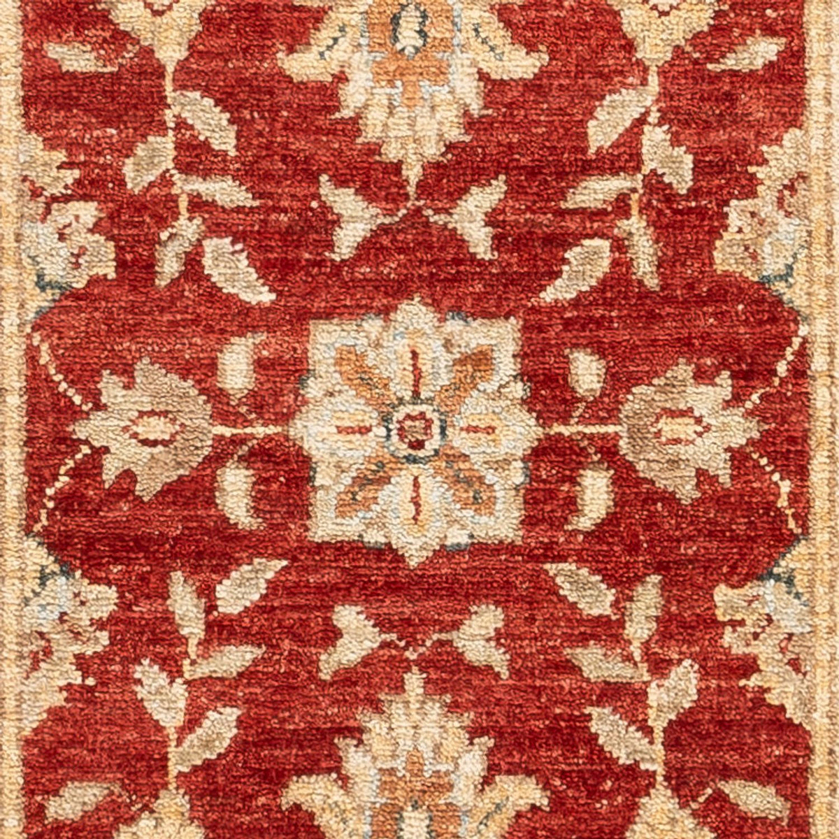 Tapis de couloir Tapis Ziegler - 148 x 51 cm - rouge