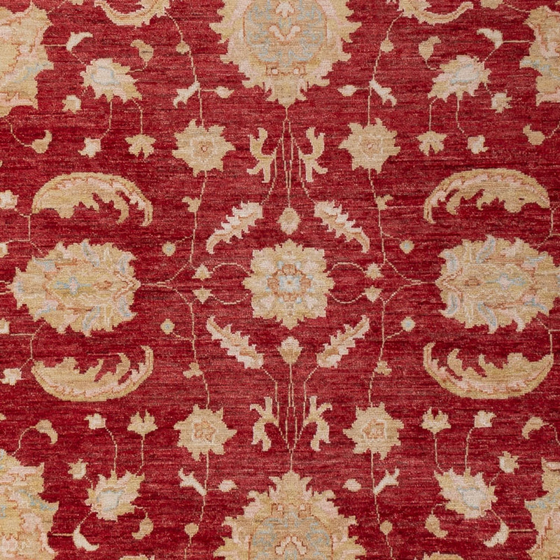 Tapis Ziegler - 303 x 204 cm - rouge foncé
