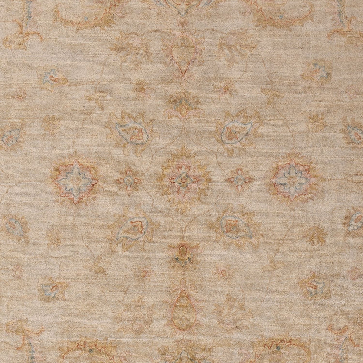Tapis Ziegler - 304 x 206 cm - beige