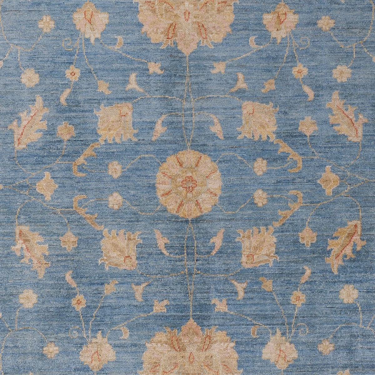 Tapis Ziegler - Moderne - 300 x 206 cm - bleu