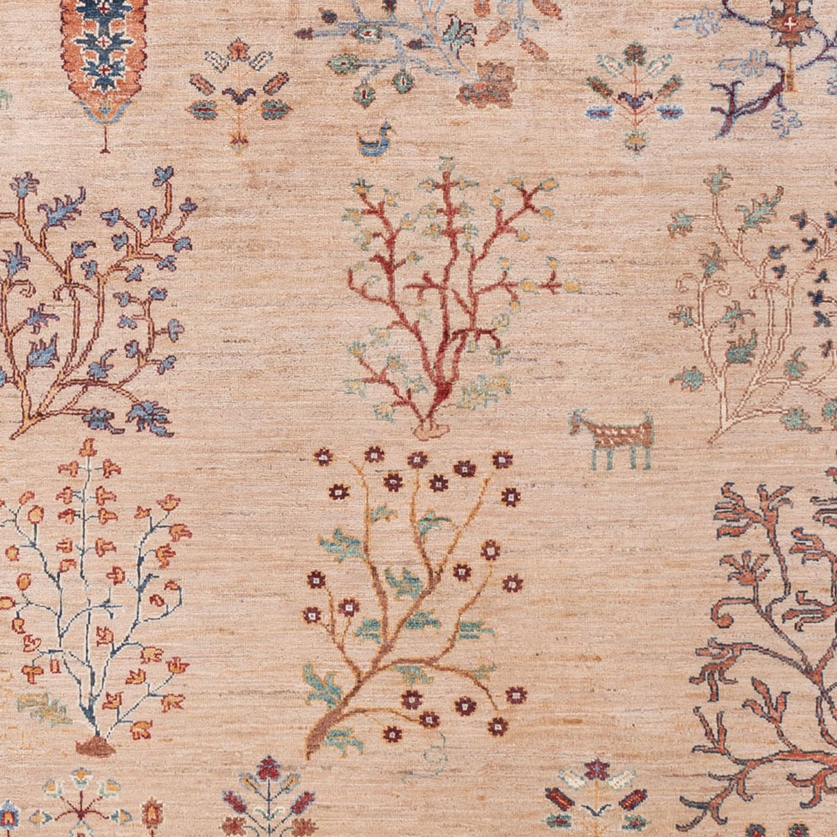 Tapis Ziegler - Ariana - 293 x 206 cm - beige