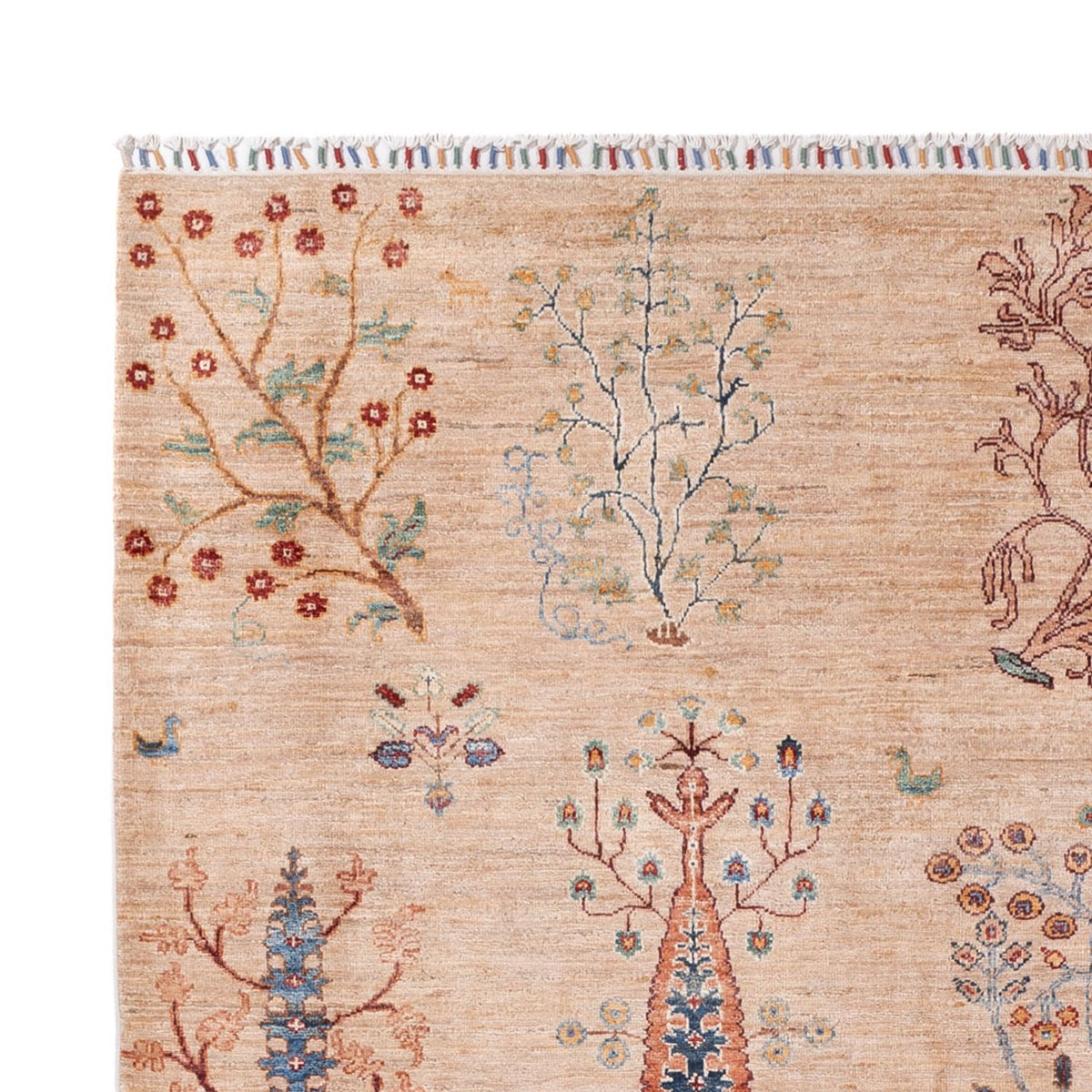 Tapis Ziegler - Ariana - 293 x 206 cm - beige