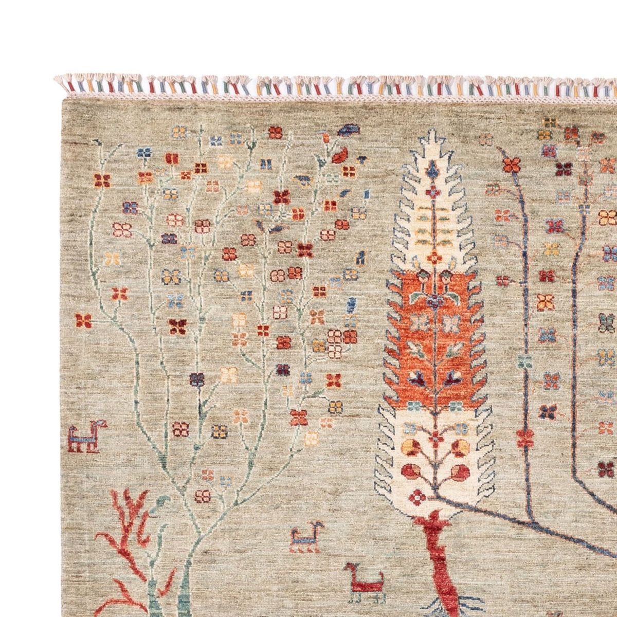 Tapis Ziegler - Ariana - 299 x 210 cm - sable