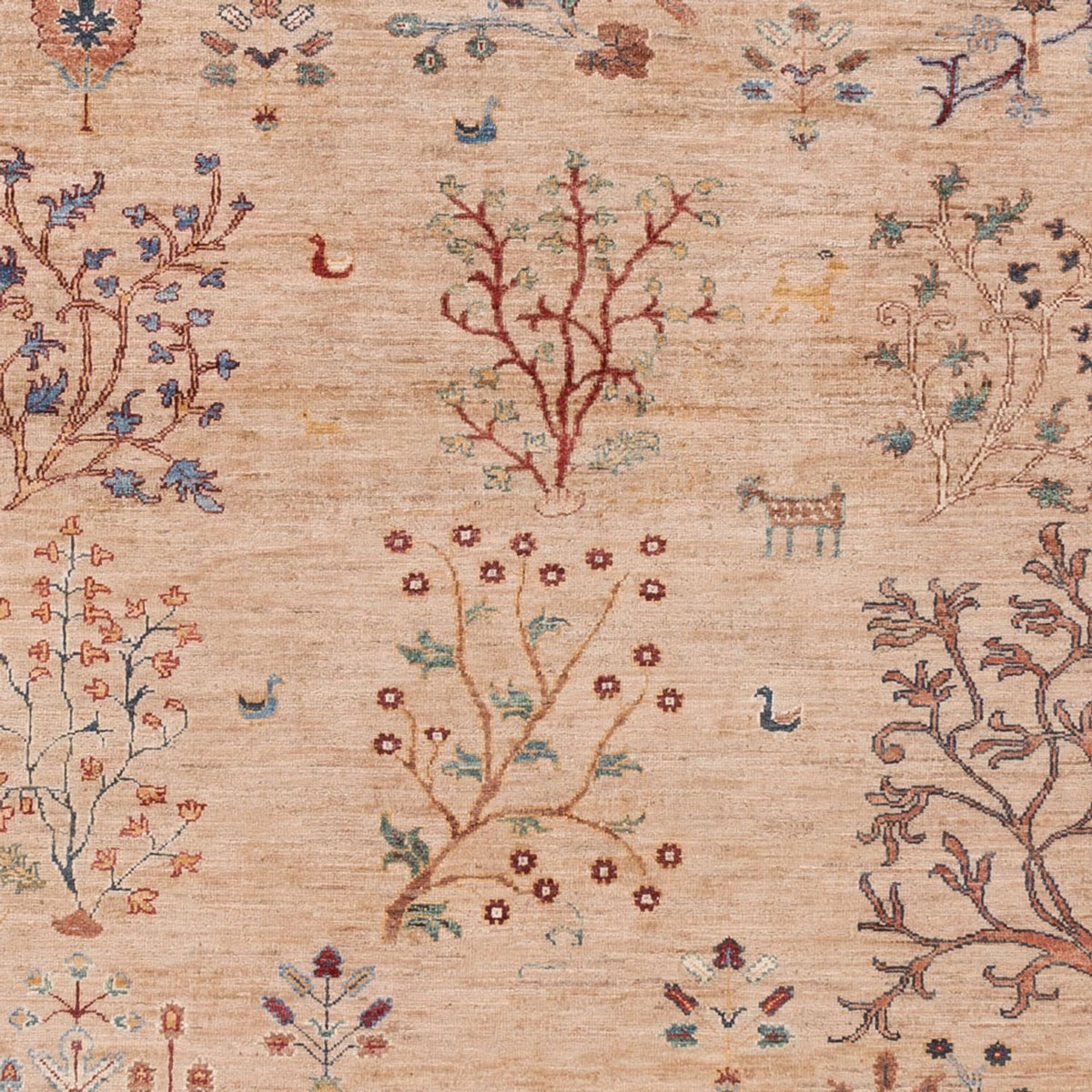 Tapis Ziegler - Ariana - 293 x 205 cm - beige foncé