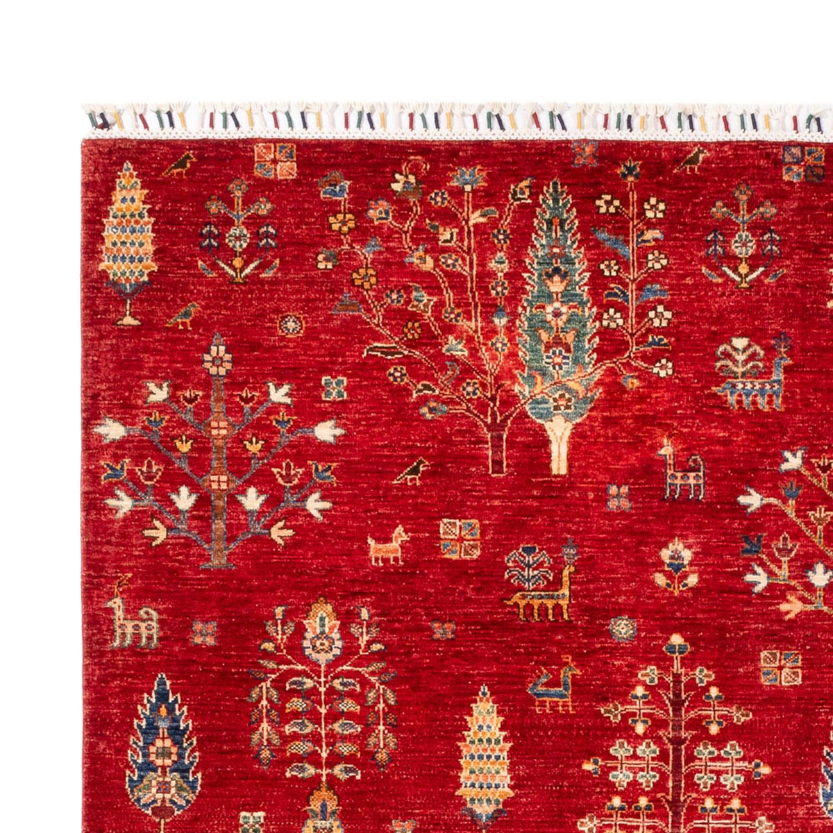 Tapis Ziegler - Ariana - 300 x 206 cm - rouge