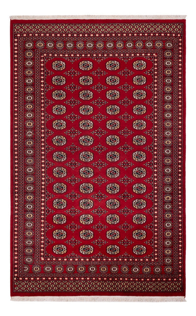 Tapis Pakistani 167x256cm - Tapis oriental
