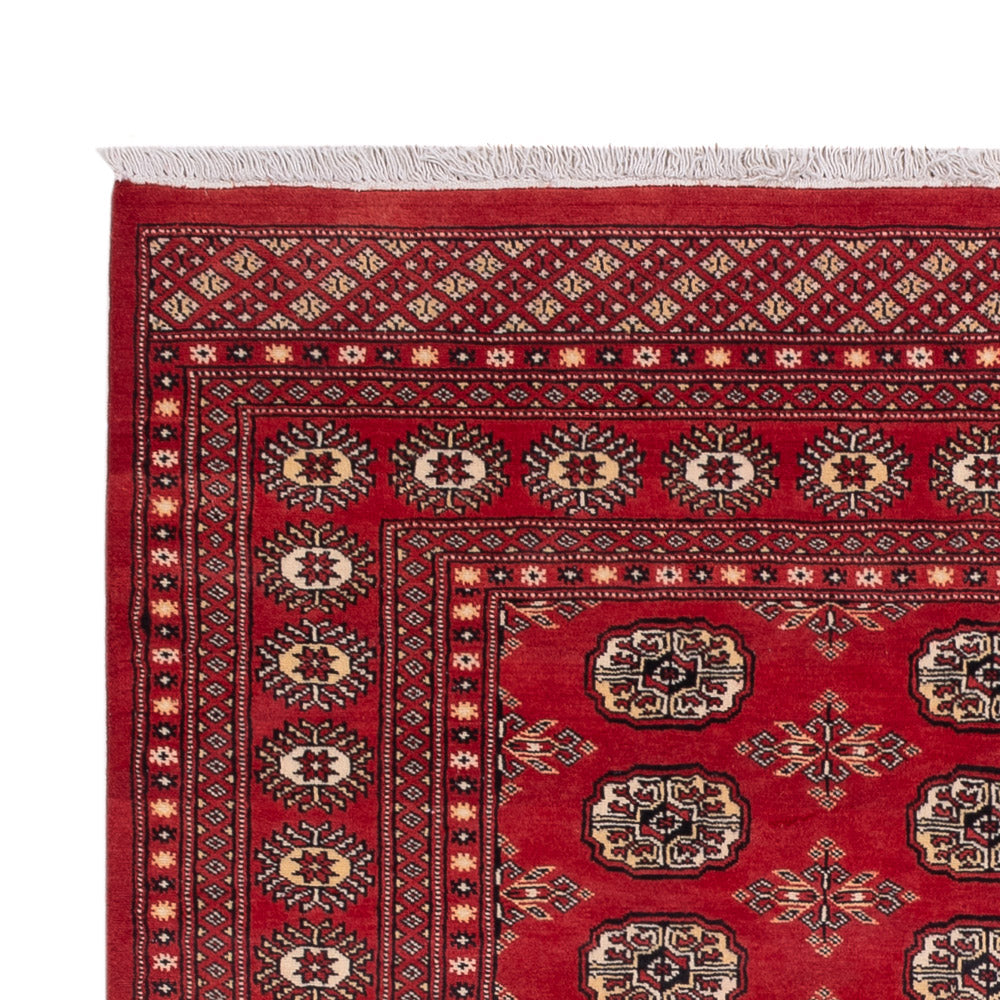 Tapis Pakistani - 237 x 158 cm - rouge