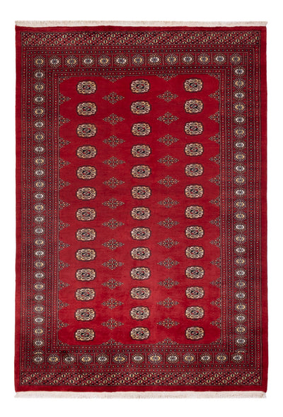 Tapis Pakistani 165x235cm - Tapis oriental