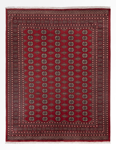 Tapis Pakistani 248x318cm - Tapis oriental