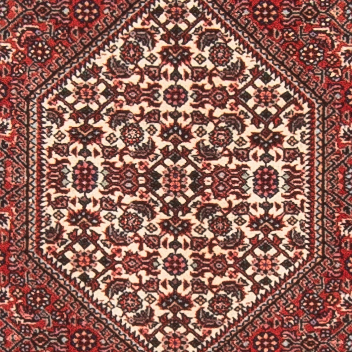 Tapis de couloir Tapis persan - Bidjar - 236 x 80 cm - rouge