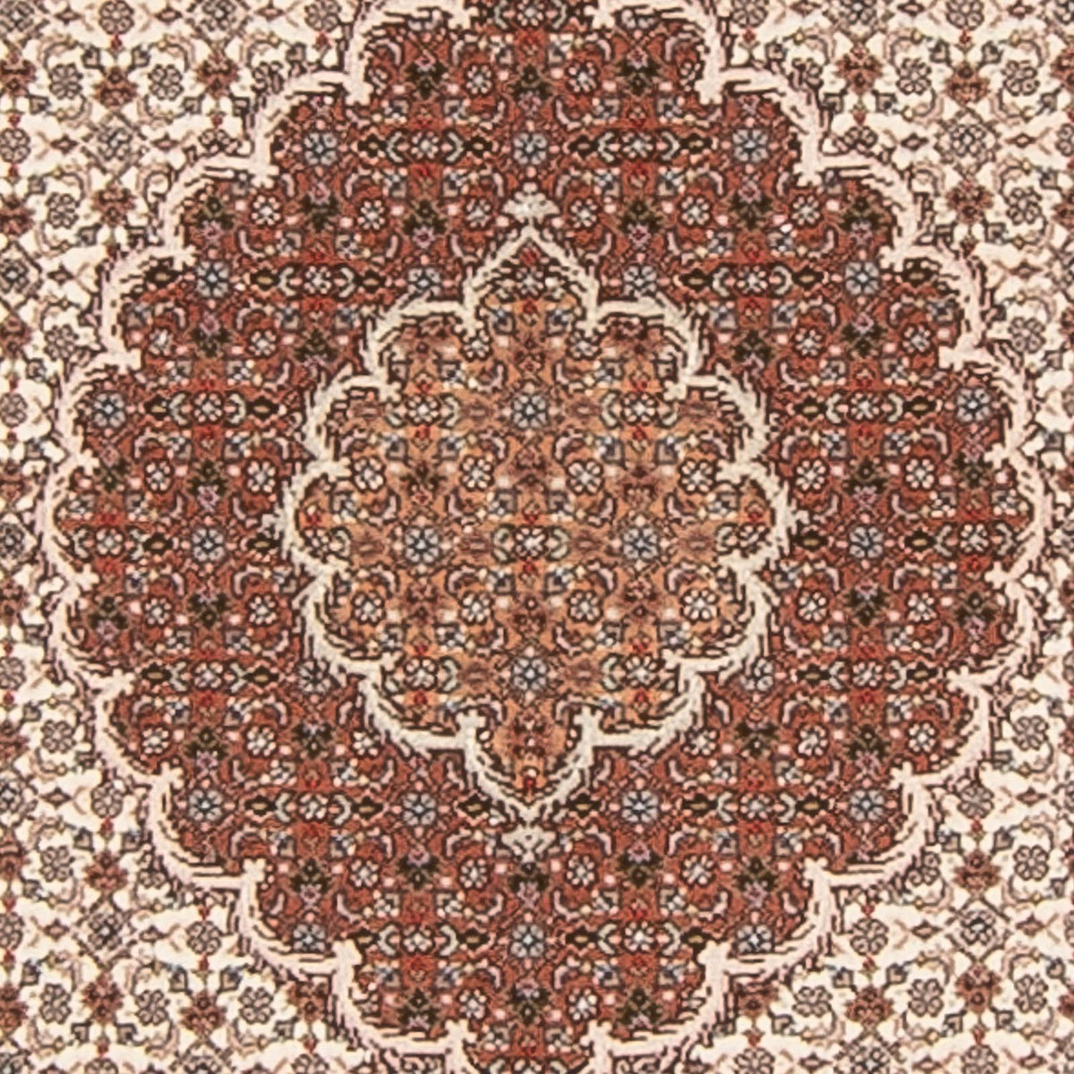 Tapis de couloir Tapis persan - Tabriz - Royal - 212 x 82 cm - beige