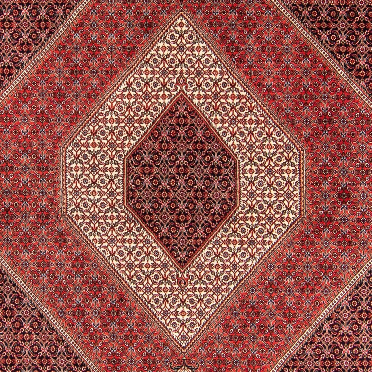 Tapis persan - Bidjar - 240 x 175 cm - rouge
