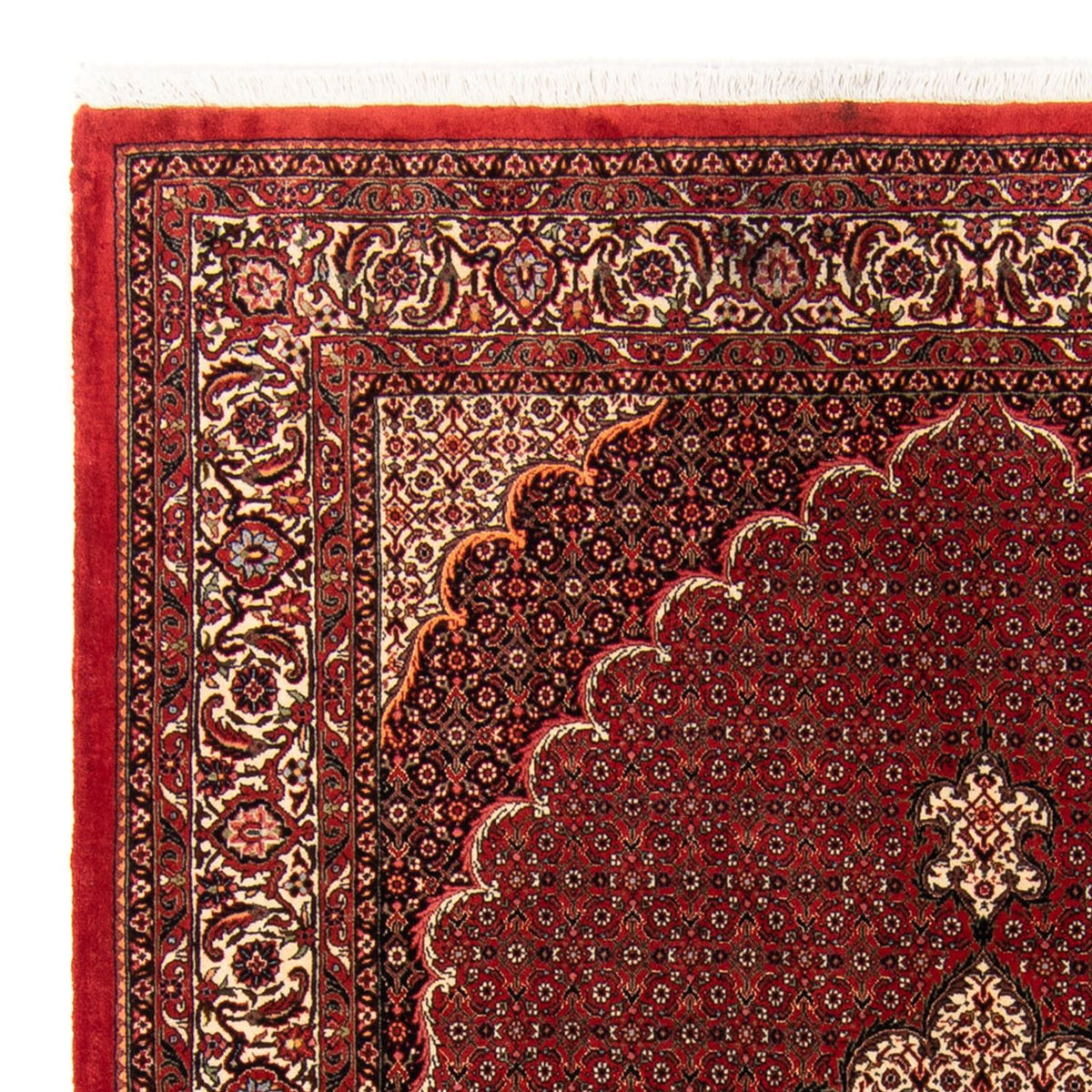 Tapis persan - Bidjar - 234 x 168 cm - rouge