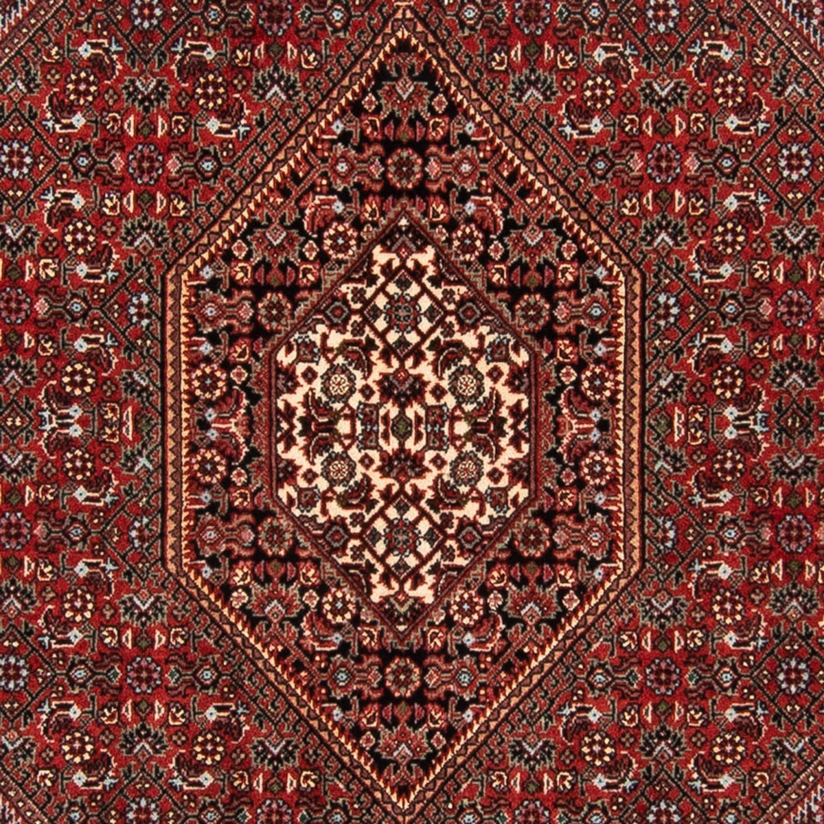 Tapis persan - Bidjar - 140 x 92 cm - rouge
