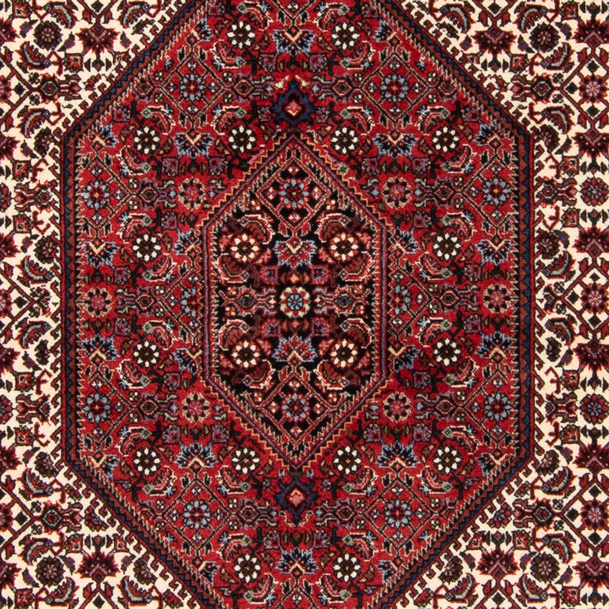 Tapis persan - Bidjar - 183 x 114 cm - multicolore