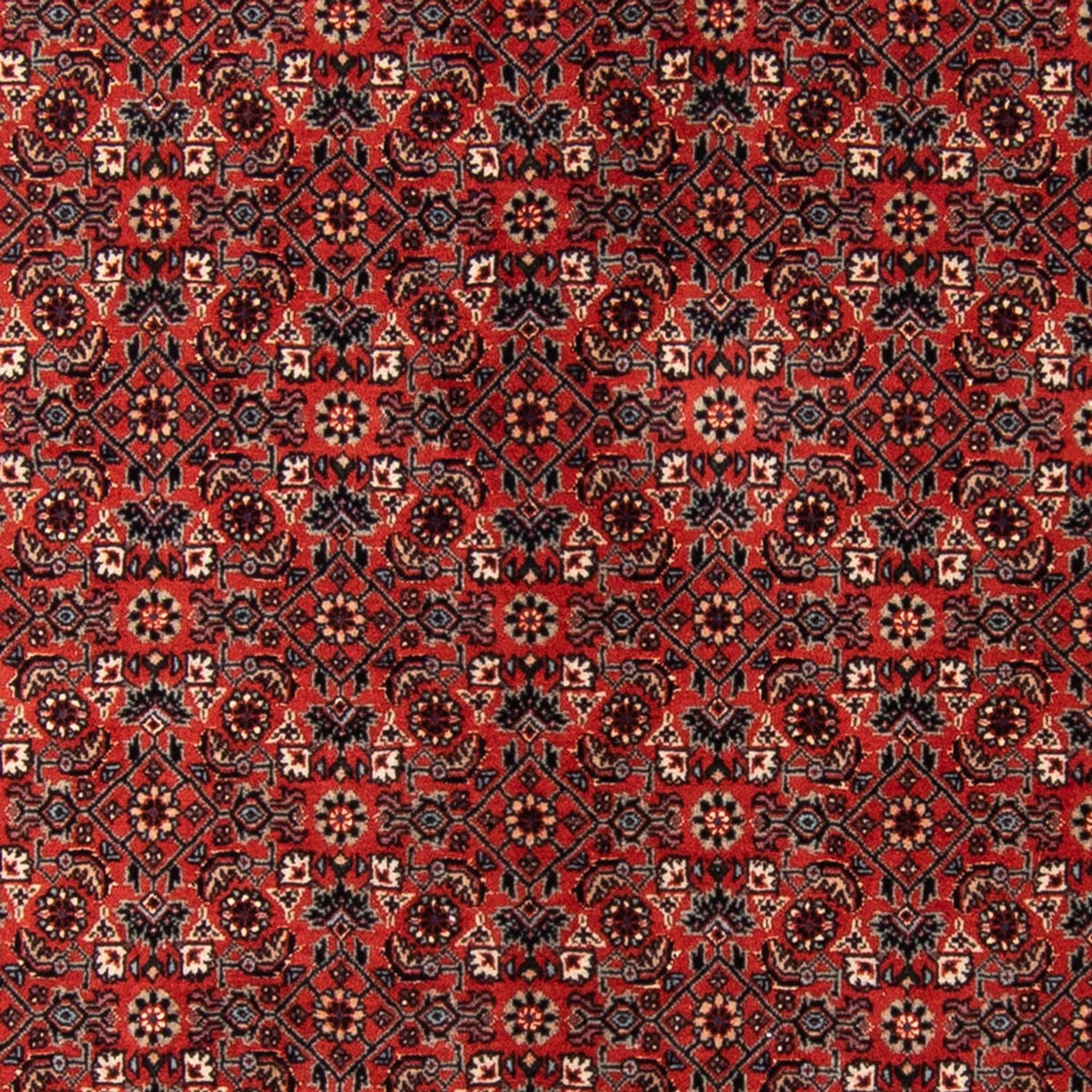 Tapis de couloir Tapis persan - Bidjar - 205 x 102 cm - rouge