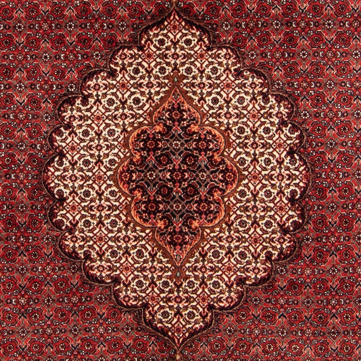 Tapis persan - Bidjar - 209 x 153 cm - rouge