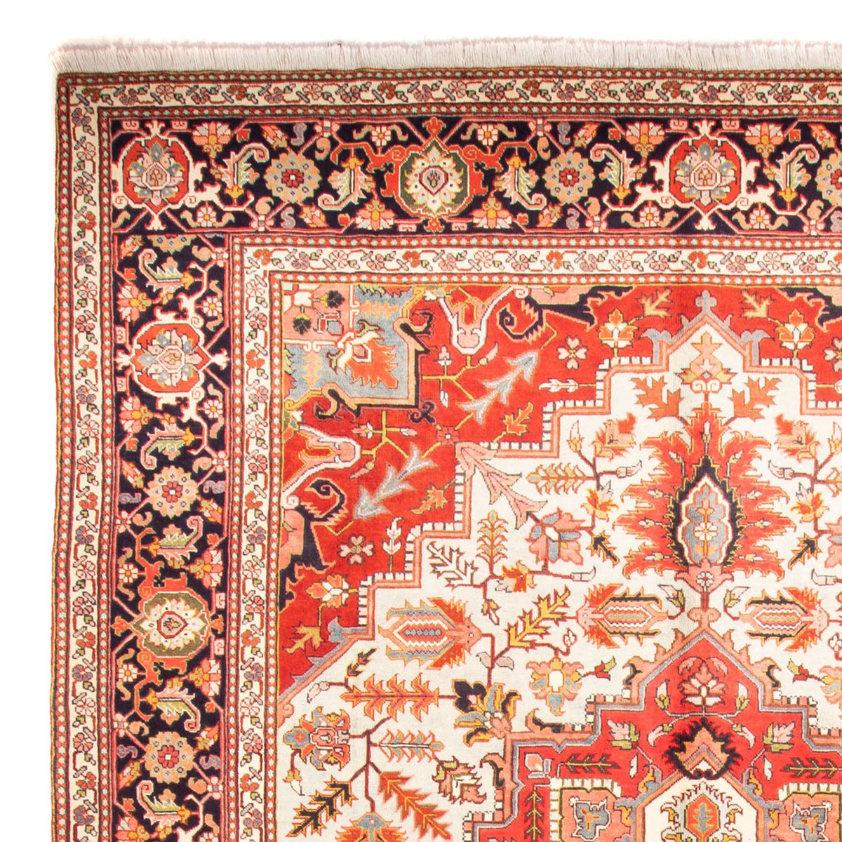 Tapis persan - Nomadic - 395 x 307 cm - beige