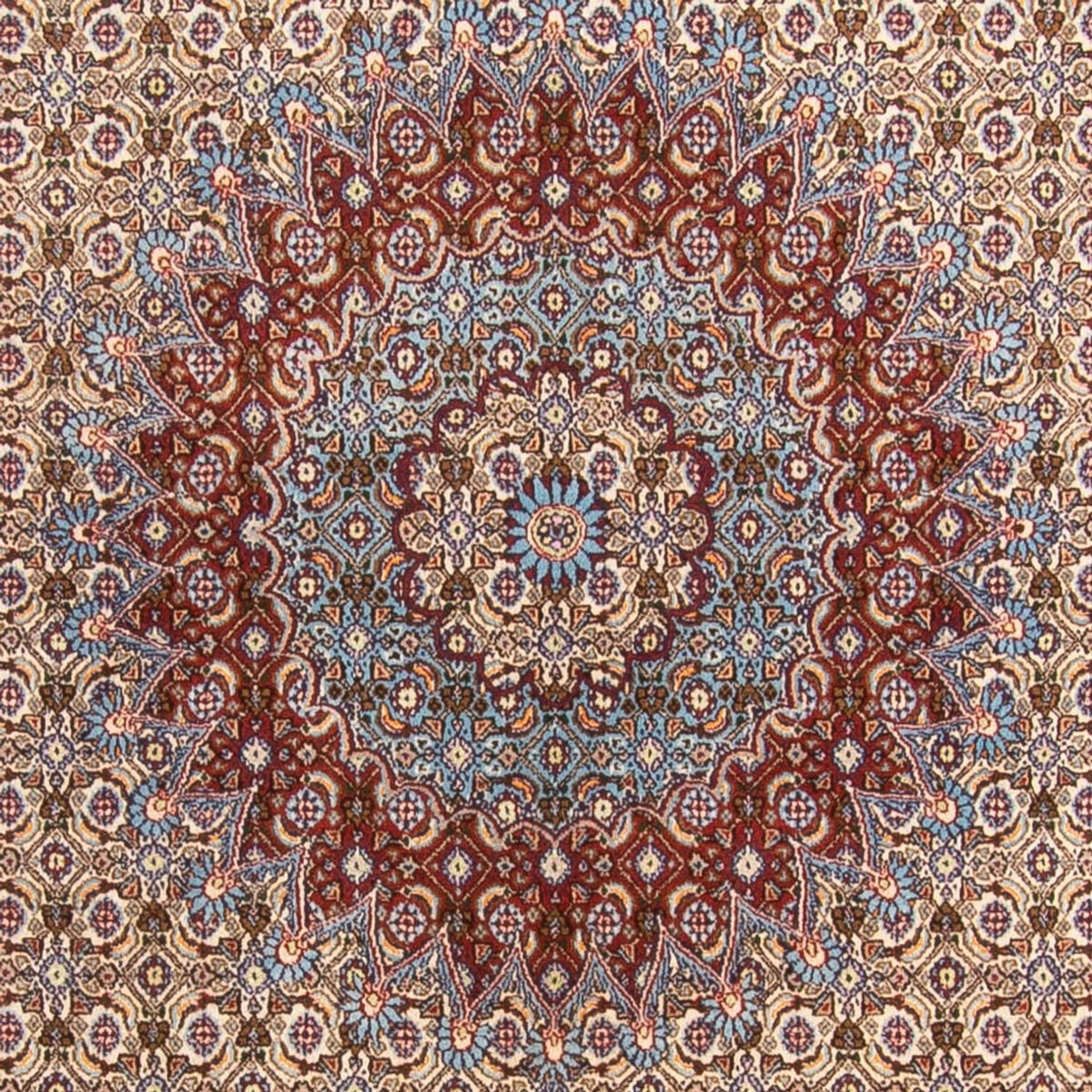 Tapis persan - Classique - 303 x 195 cm - beige