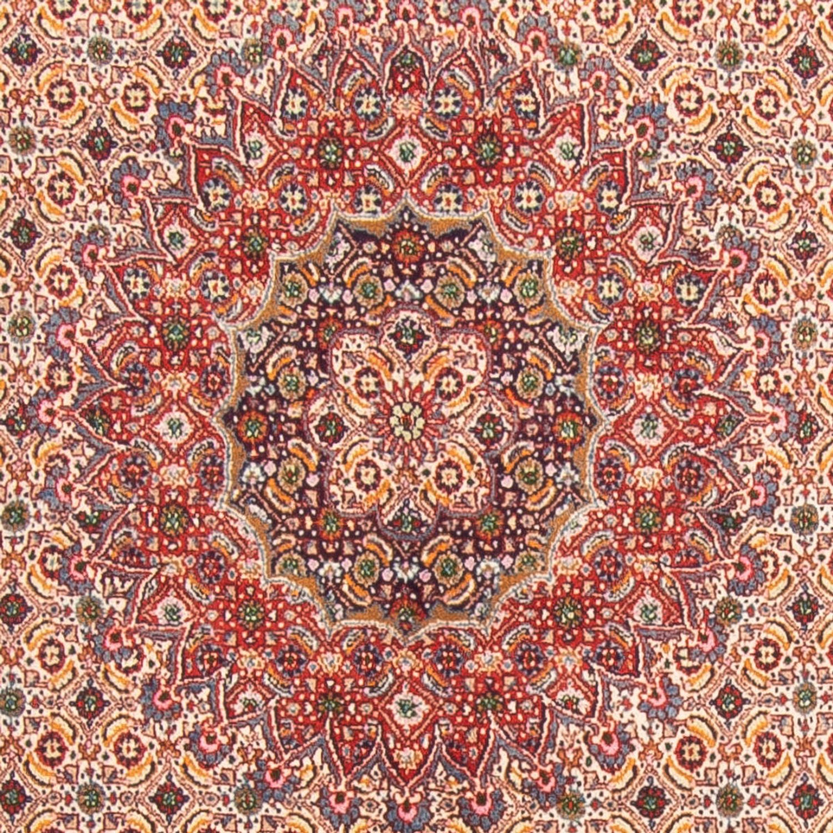 Tapis persan - Classique carré  - 198 x 193 cm - beige