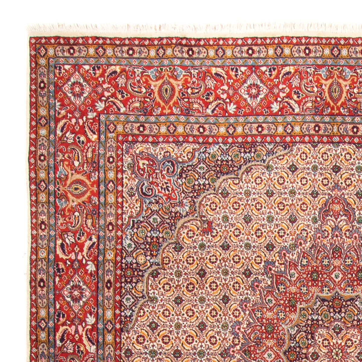 Tapis persan - Classique carré  - 198 x 193 cm - beige