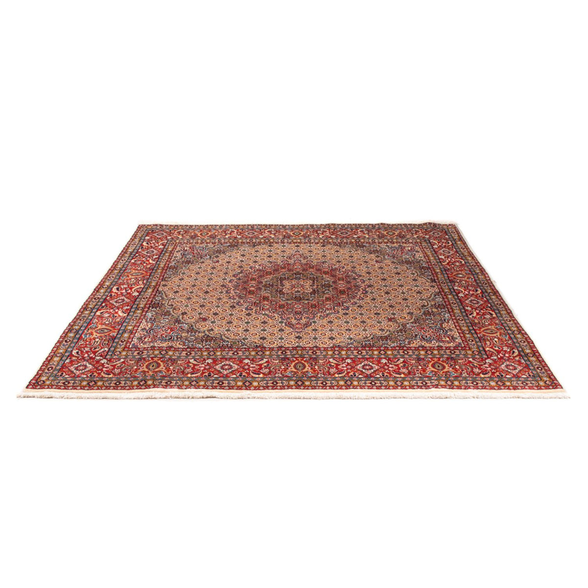 Tapis persan - Classique carré  - 198 x 193 cm - beige