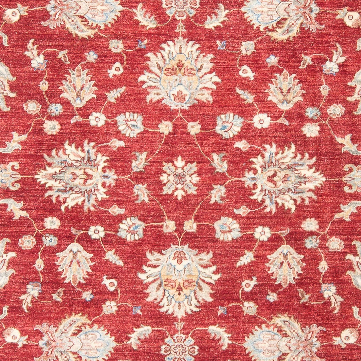 Tapis Ziegler - 243 x 178 cm - rouge