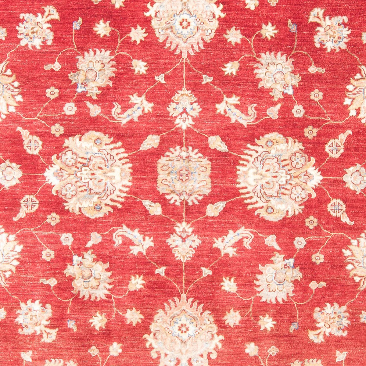 Tapis Ziegler - 258 x 182 cm - rouge