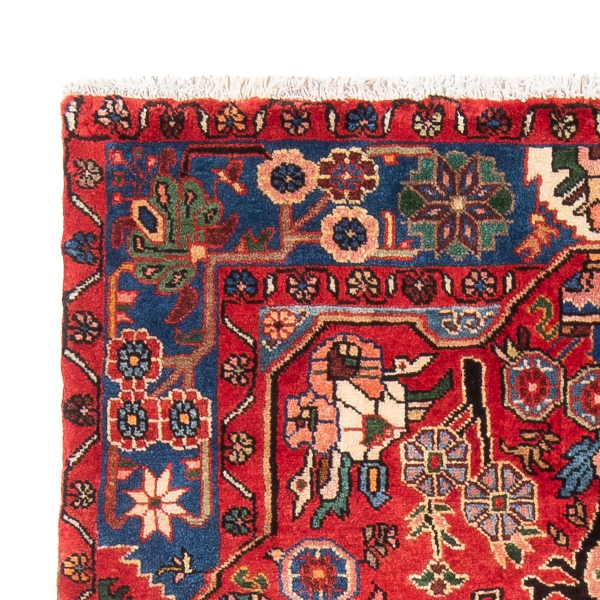 Tapis persan - Nomadic - 171 x 119 cm - rouge