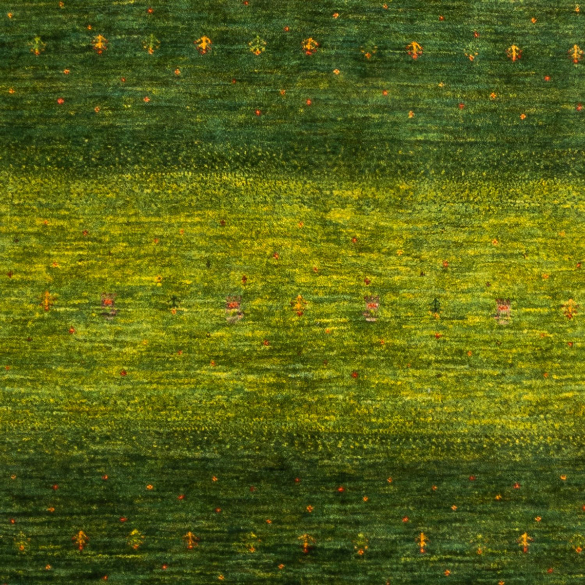 Tapis Gabbeh - Loribaft Persan - 238 x 172 cm - vert
