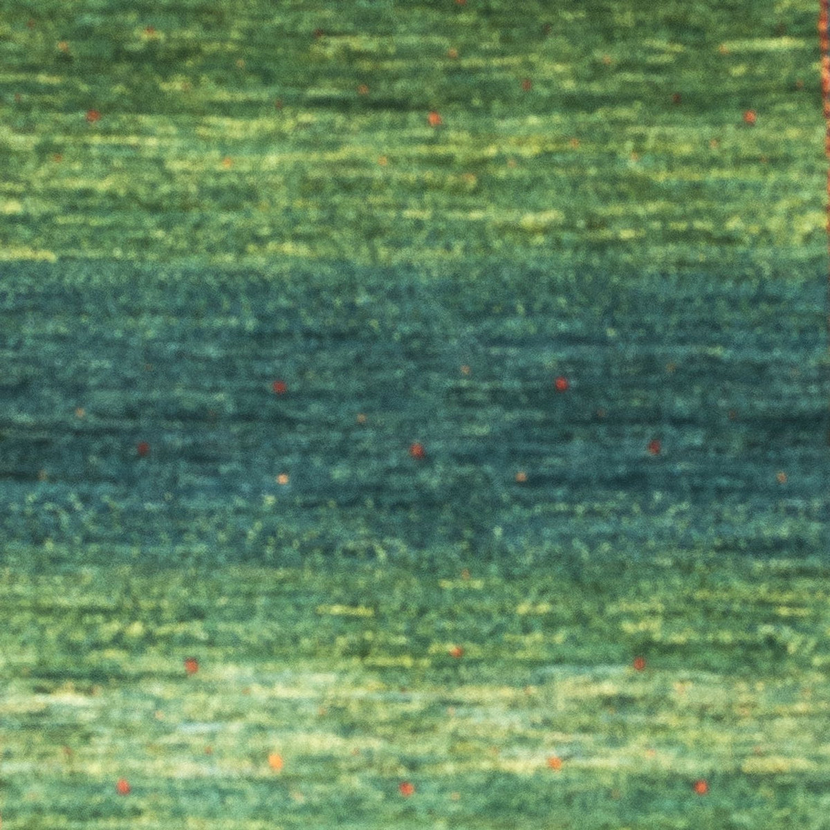 Tapis Gabbeh - Loribaft Persan - 147 x 100 cm - vert