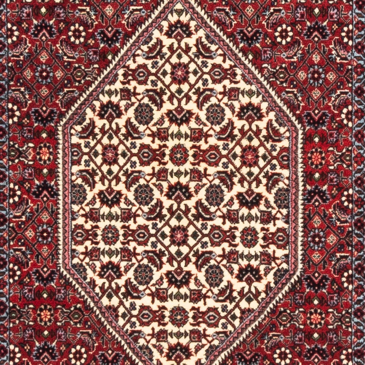 Tapis de couloir Tapis persan - Bidjar - 228 x 78 cm - crème