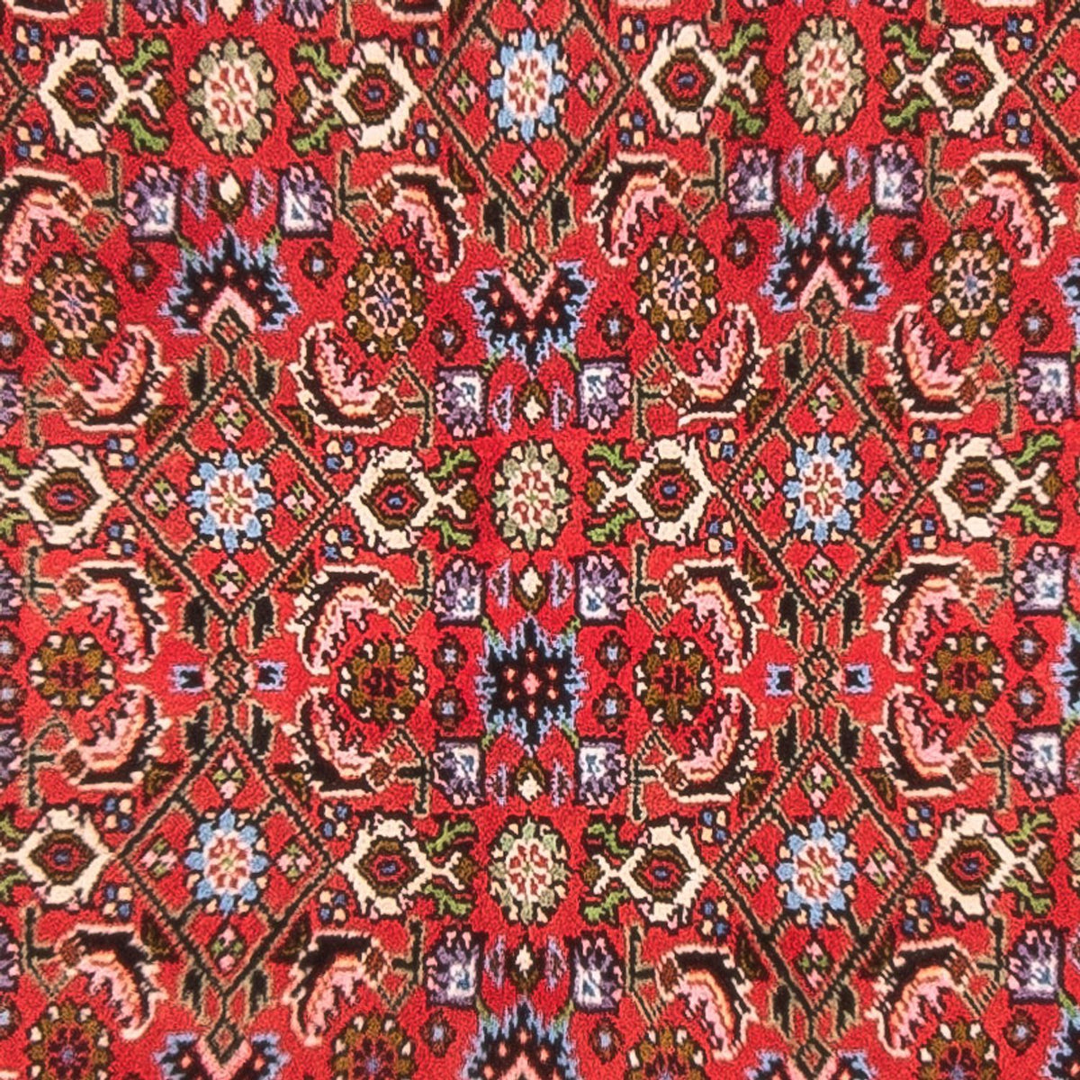 Tapis persan - Bidjar - 137 x 84 cm - rouge